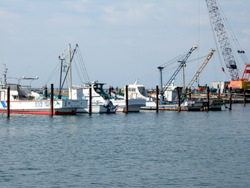 木更津港漁船