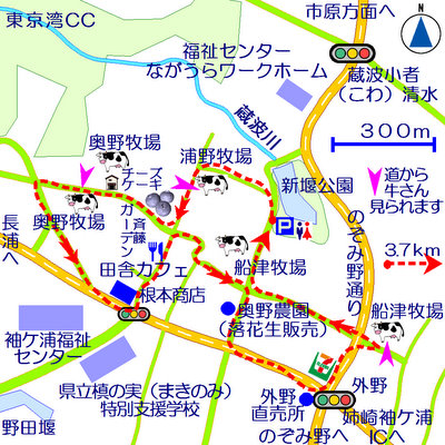 蔵波字鎌倉街道周辺マップ